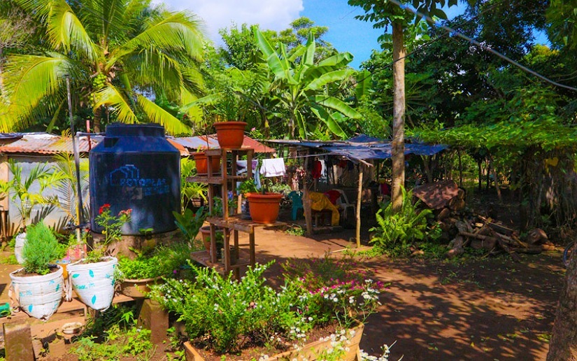 cafe